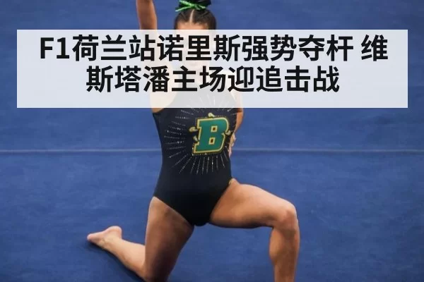 F1荷兰站诺里斯强势夺杆 维斯塔潘主场迎追击战