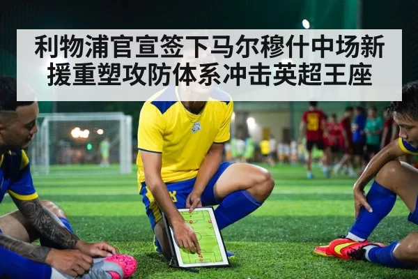 利物浦官宣签下马尔穆什中场新援重塑攻防体系冲击英超王座